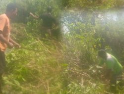 Atasai Genangan Air di Jalan Umum, Pemdes Raimataus Gotong Royong Bersihkan Drainase