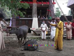 Ma’somba Tedong, Ma’pabendan Bate