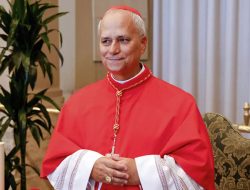 Paus Baru, Robert Francis Prevost