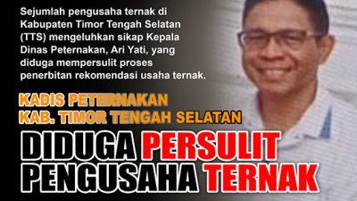 Kadis Peternakan TTS Tuai Sorotan, Diduga Persulit Pengusaha Ternak