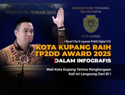 Kota Kupang Raih TP2DD Award 2025 (Dalam Infografis)
