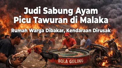 Judi Sabung Ayam Picu Tawuran di Malaka