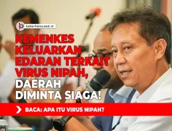Kemenkes Keluarkan Edaran Terkait Virus Nipah, Daerah Diminta Siaga!