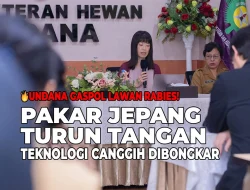 🔥Undana Gaspol Lawan Rabies! Pakar Jepang Turun Tangan