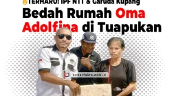 🔥TERHARU! IPF NTT dan Garuda Kupang Bedah Rumah Oma Adolfina di Tuapukan