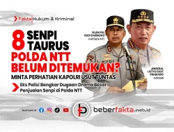 8 Senpi Taurus Polda NTT Belum Ditemukan?