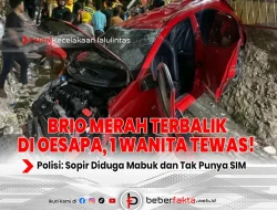 Brio Merah Terbalik di Oesapa, 1 Wanita Tewas!