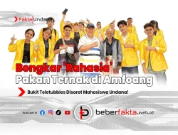 Bongkar ‘Rahasia’ Pakan Ternak di Amfoang