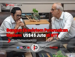 Bangun Ekosistem Peternakan Modern Senilai US$45 Juta di NTT