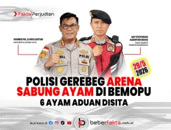 Polisi Gerebek Arena Sabung Ayam di Bemopu 6 Ayam Aduan Disita