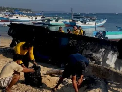 Pantai Nunbaun Sabu Disulap Kinclong! Polisi, TNI hingga Warga Turun Tangan Bareng