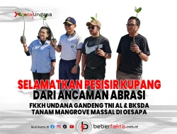 Selamatkan Pesisir Kupang dari Ancaman Abrasi
