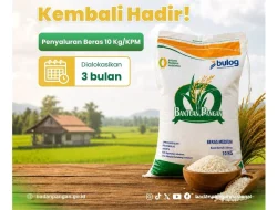 Beras Bansos Cair Lagi! Cek NIK-mu, Bisa Dapat 30 Kg Sampai September