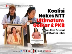 Koalisi Nakes NTT Desak Proses Hukum Kasus Dokter Icha