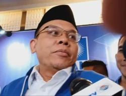 PDIP Sehati dengan Pemerintah, PAN: Semua Berjalan Tanpa Halangan