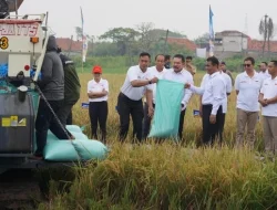 Kejagung Luncurkan Early Warning System Jaga Desa, Awasi Pupuk Bersubsidi