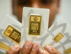 Harga Emas Hari Ini Turun, Antam, Pegadaian, dan UBS Kompak Melemah