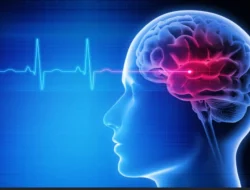 Diabetes Bisa Merusak Otak, Ancaman Stroke Mengintai Tanpa Disadari