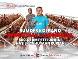 BUMDes Kolbano Bangkitkan Ekonomi Desa, 500 Ayam Petelur Kini Hasilkan Jutaan Rupiah