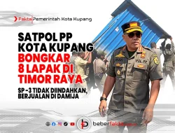 Satpol PP Kota Kupang Bongkar Delapan Lapak di Timor Raya