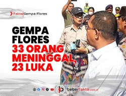 Gempa Flores: 33 Orang Meninggal, 23 Luka