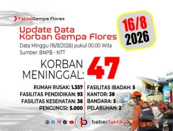 Update Gempa NTT: 47 Tewas, 5.000 Warga Mengungsi