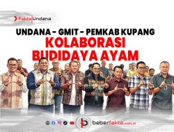 Undana, GMIT dan Pemkab Kupang Kolaborasi Budidaya Ayam