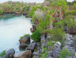 Danau Weekuri Sumba: Laguna Asin dengan Gradasi Biru yang Bikin Takjub