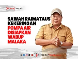 Sawah Raimataus Kekeringan, Wabup Malaka Siapkan Pompa Air