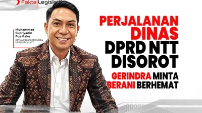 Perjalanan Dinas DPRD NTT Disorot, Gerindra Minta Berani Berhemat