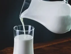 Minum Susu Bikin Gemuk? Ini Fakta Sebenarnya