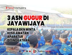 ASN Gugur di Jayawijaya: Kepala BKN Minta Keselamatan Aparatur Ditingkatkan