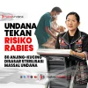 Sterilisasi Massal 80 Anjing-Kucing, Undana Tekan Risiko Rabies NTT