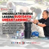 UPT LLKK Undana Latih Warga Lasiana Budi Daya Urban Farming dan Olah Sampah Organik